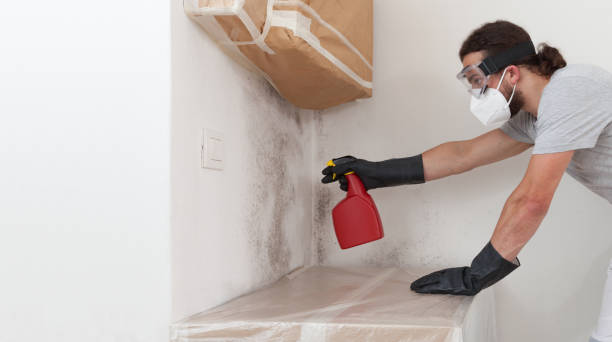 Professional Mold Inspection And Testing technician working in Westwood, MI